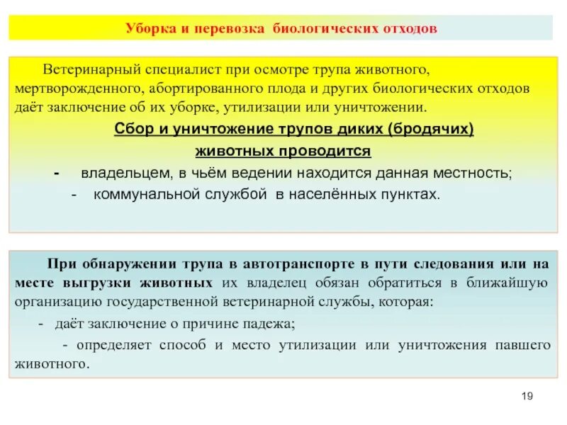 Ветеринарные правила утилизации. Уничтожение биологических отходов. способы уничтожения биоотходов. утилизация и уничтожение биологических отходов. правила утилизации биологических отходов ветеринарных.