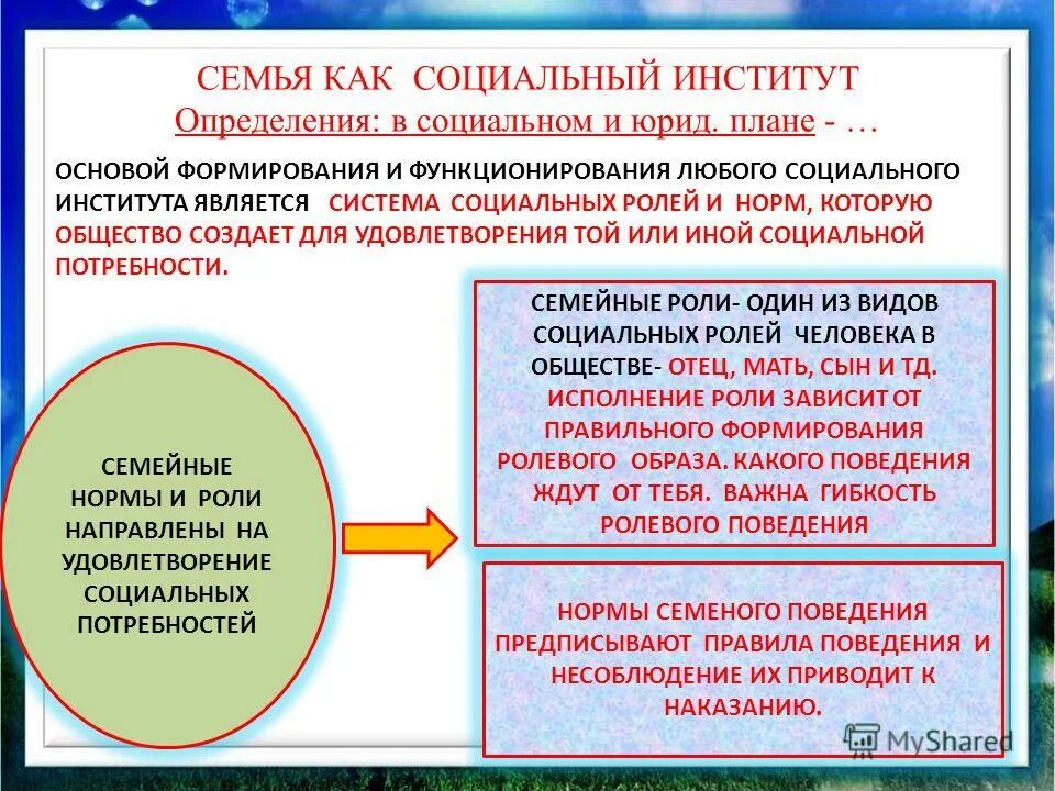 Семейный институт общества