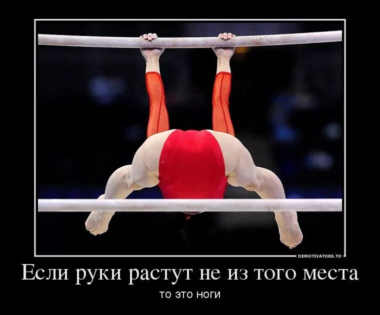 сантехника для презентации. бетон юмор. откуда растут руки у человека. откуда растут руки у человека. если руки золотые неважно откуда они растут.