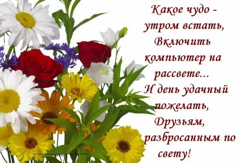 Доброе утро друзья здоровья. Добрые пожелания с цветами. Доброе утро здоровья и счастья. Букеты с пожеланиями доброго дня. Доброго утра здоровья и добра.