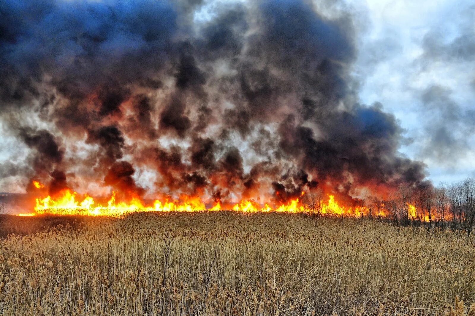 Горит газон