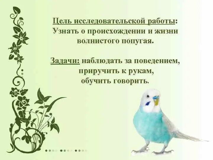 Попугай из мультика 38 попугаев. Грустный персонаж из мультика. Наш наблюдательный попугай тоже спешит дать тебе задание ведь кто кто. Попугай кеша. Окружающий мир 4 класс рабочая тетрадь стр 72.