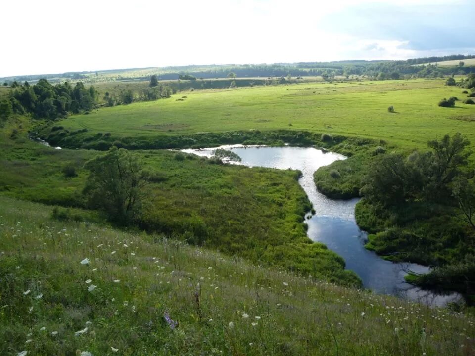 луга тульской области. просторы россии бежин луг тульская область. бежин луг река снежеть. бежин луг тульская область музей. бежин луг в какой губернии.