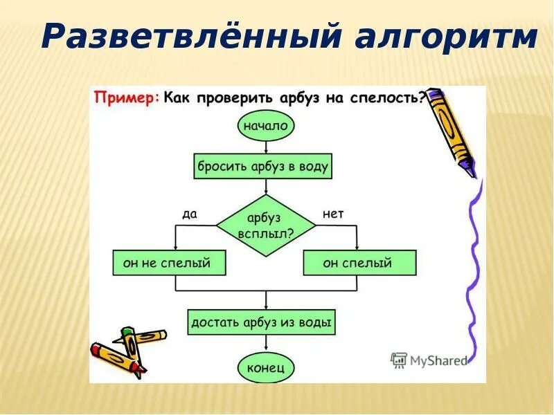 Блок схема разветвляющегося алгоритма примеры. Блок схема алгоритма с ветвлением. Блок схема алгоритма разветвляющегося алгоритма. Алгоритм ветвления примеры Информатика.