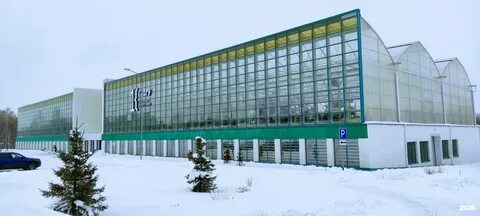 Садовой кемерово