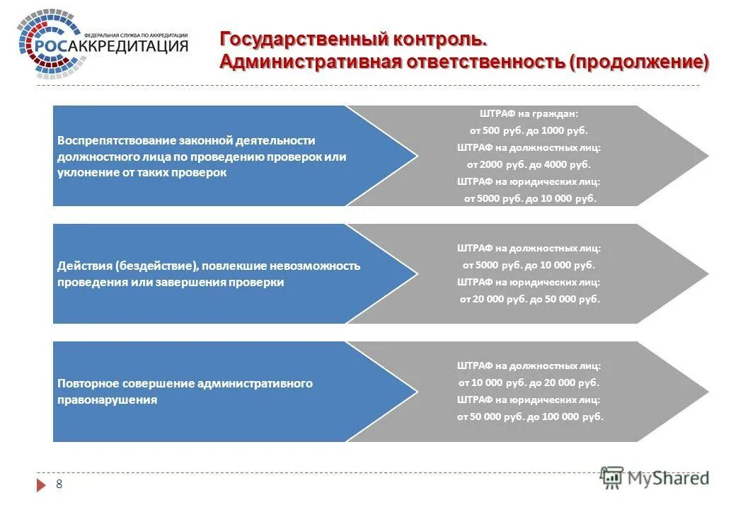 Реализация контрольных мероприятий