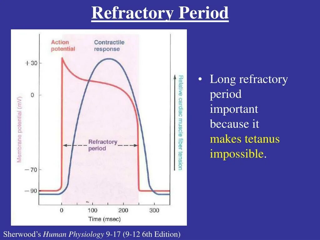 Рефрактерный период. Absolute Refractory period. Refractory схемы. Рефрактерный период девушки. Рефрактерный период и его роль