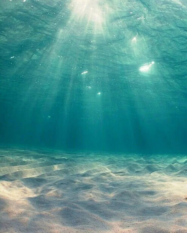 Океан. Море под водой. Морские глубины. Океан под водой. Ocean is beautiful