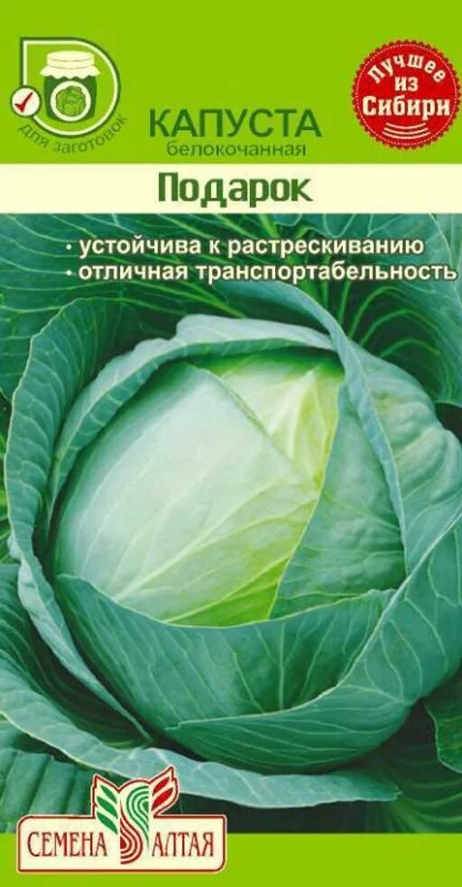 Капуста Подарок: описание сорта, выращивание и уход, фото, отзывы
