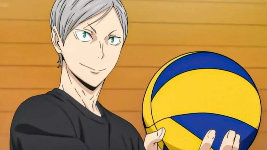 Львы про волейбол. Лев хайба волейбол. лев хайба волейбол арт.