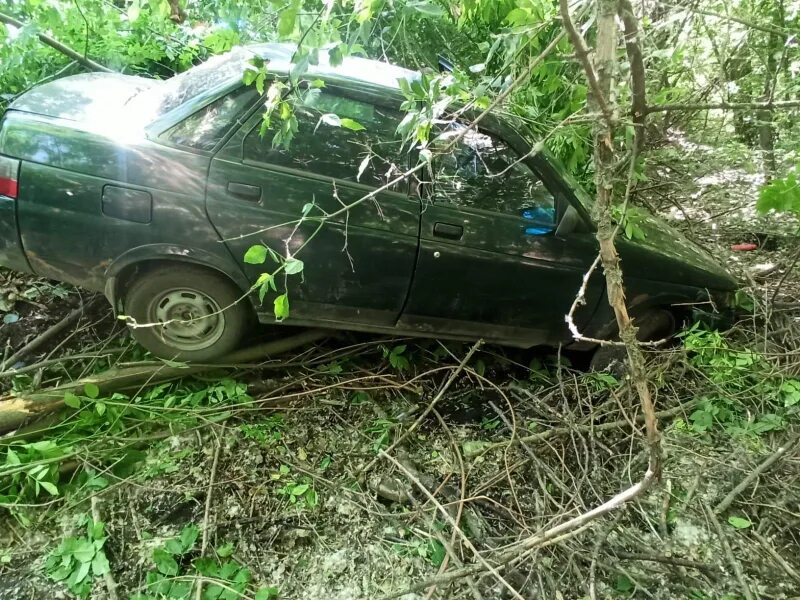 27 29 июня. Машина врезалась в дерево. Авария в Мичуринске Тамбовской области. ДТП Мичуринск Тамбовская. Дорожные происшествия в Мичуринске.