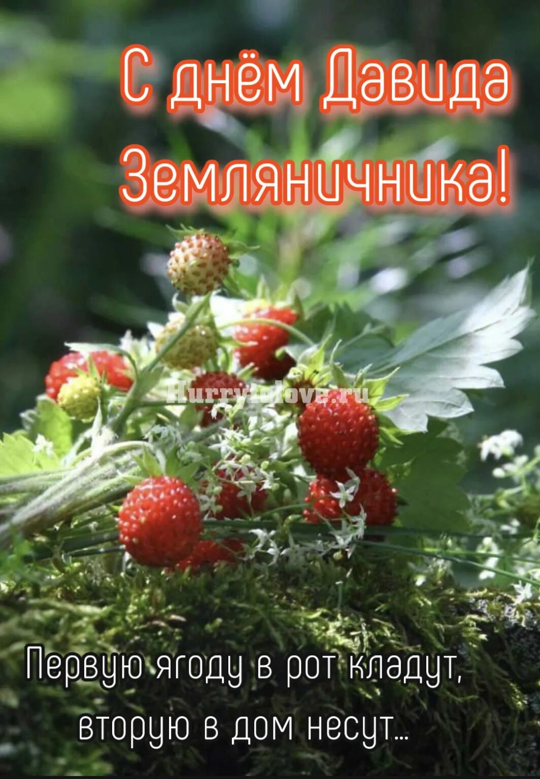 29 июля что за праздник