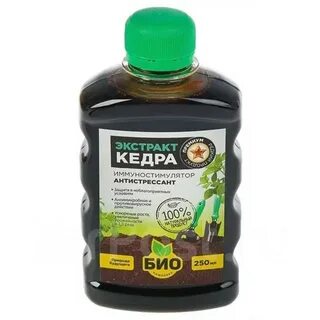 Био кедр отзывы