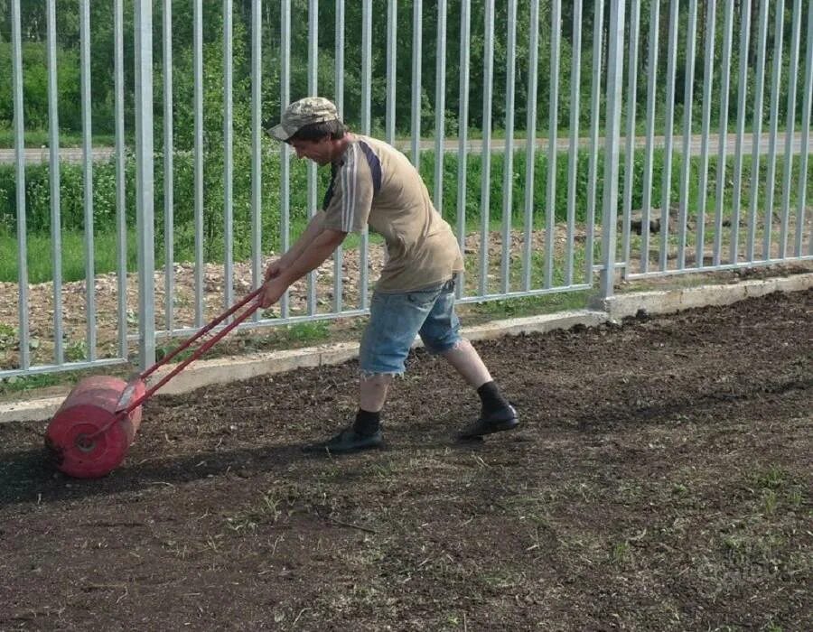 Посев газона. Засеивание газона. Приспособление для посадки газонной травы. Посев газонной травы. Чем засеять участок от сорняков