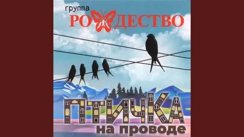 Птичка моя на проводе