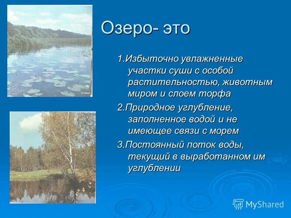 избыточно увлажненный участок суши. избыточное увлажнение это в географии. происхождение болот. растения водных и избыточно увлажненных мест. презентация на тему болото.