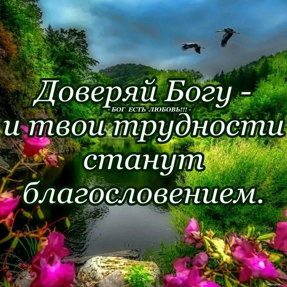 Благословенные картинки. День благословения. Пожелание благословения Божьего. Открытки с Божьим благословением. Благословение на день христианские.