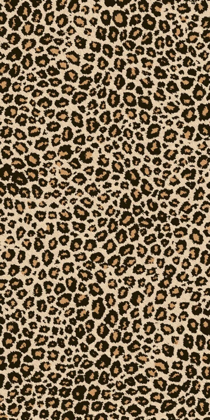 Как выглядит леопардовый цвет Texture leopard print: лицензируемые стоковые иллюстрации и рисунки без лицензио