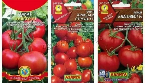 Томат красная стрела описание
