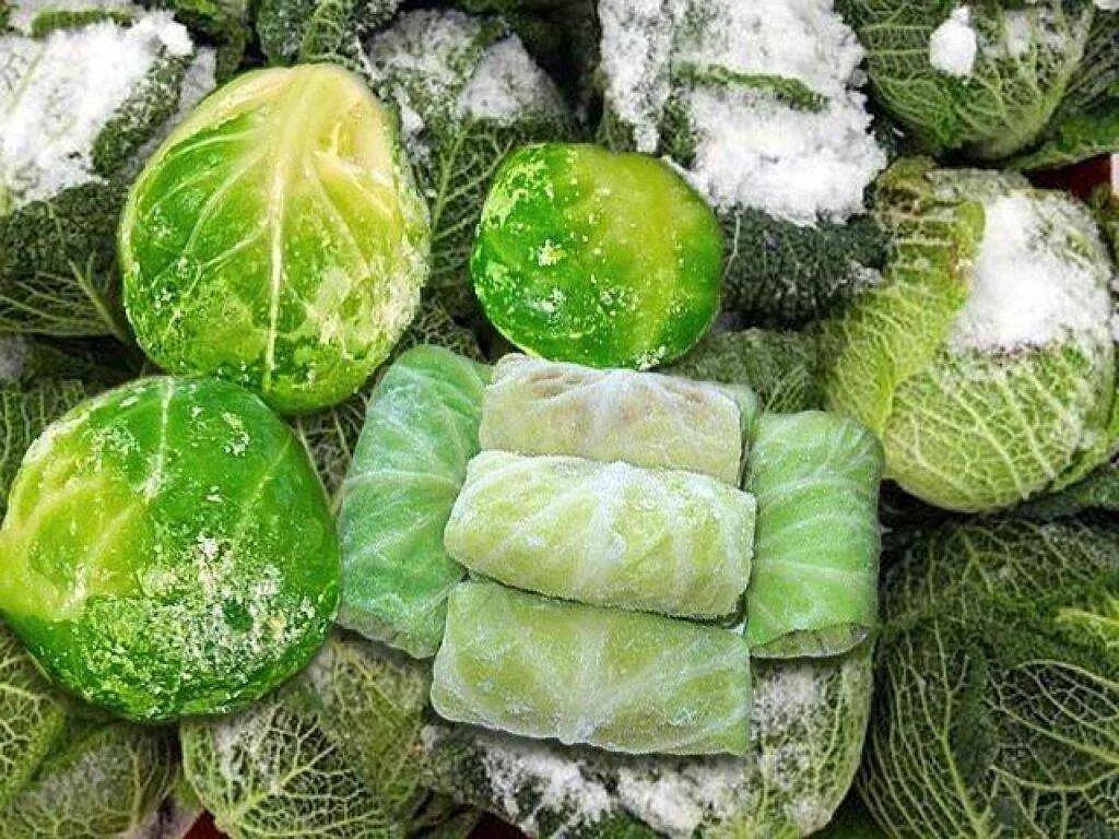 Можно замораживать белокочанную капусту. Заморозка овощей. Подмороженная капуста. Заморозка овощей на зиму. Заморозка капусты белокочанной.