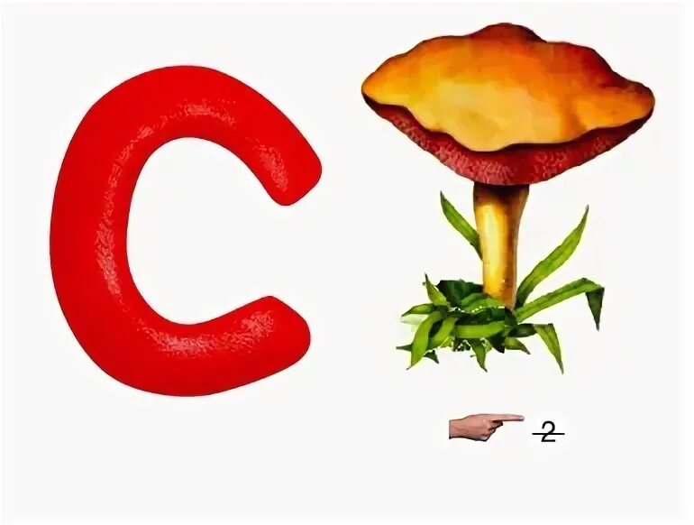 Ребусы про грибы. Ребусы о природе. Ребусы на тему осень для дошкольников. Разгадать ребус гриб. Разгадать ребус гриб.