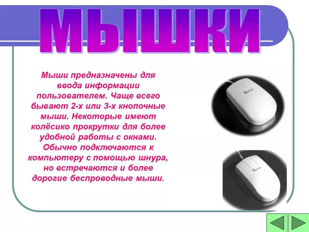 Для ввода какой информации предназначены. Устройства компьютерная мишка. Мышь компьютерная слайд. Мышь ввод информации. Компьютерная мышь для презентации.