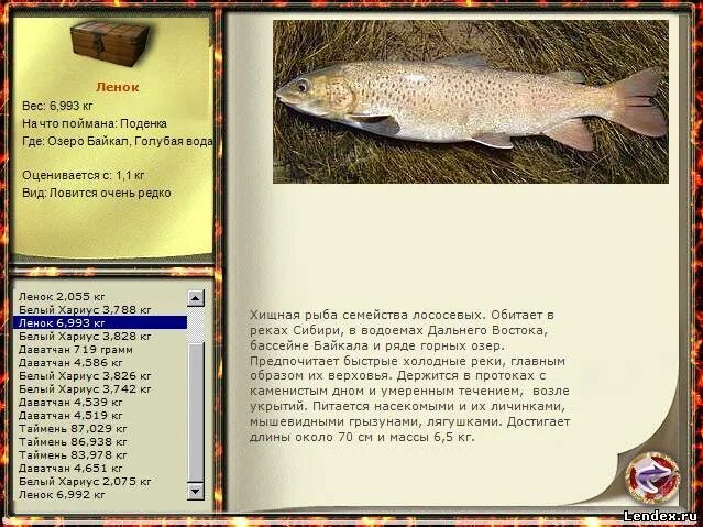 окунь речной максимальный вес. русская рыбалка 3 1 западная монголия белый хариус. белый байкальский хариус реальная рыбалка. белый байкальский хариус. русская рыбалка 3 на что клюет хариус сибирский.