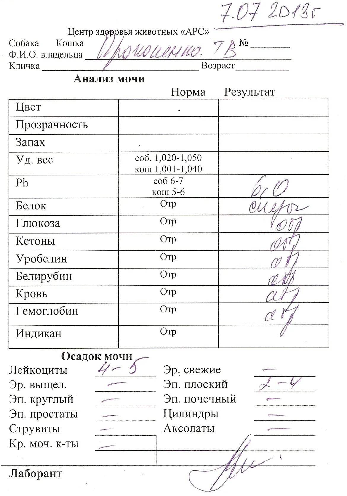 Лейкоциты в моче 50 у мужчины. Анализ мочи лейкоциты. Анализ мочи лейкоциты норма. Норме анализ Мачи лейкоцит. Анализ мочи лейкоциты норма у мужчин.