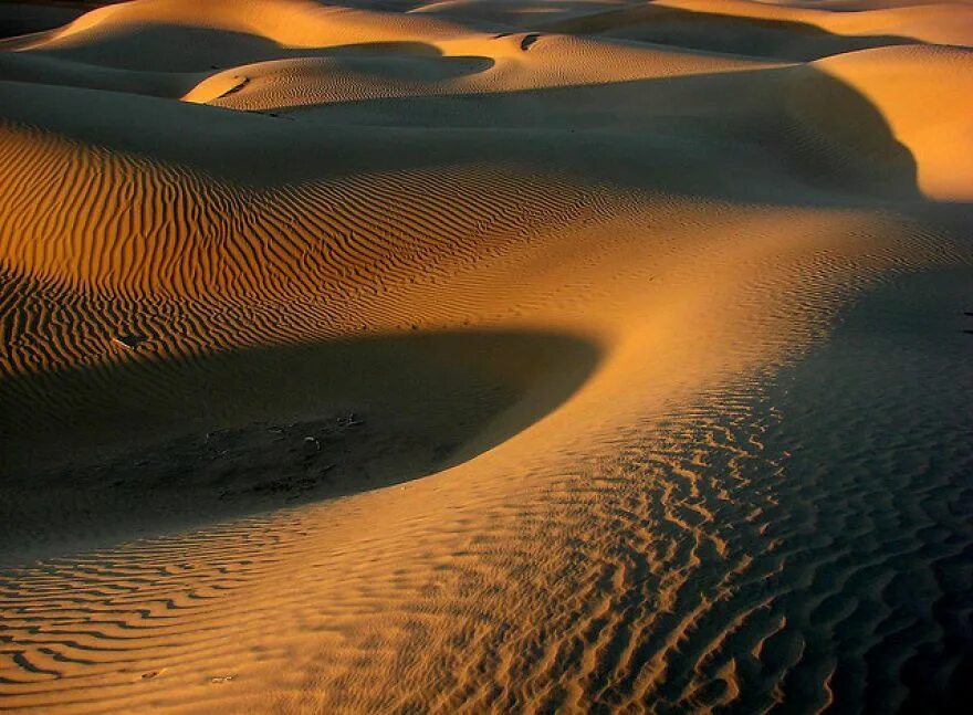 Песчаные дюны Раджастхан. Пустыня тар в Индии. Пустыня Тхар. Барханы в пустыне.