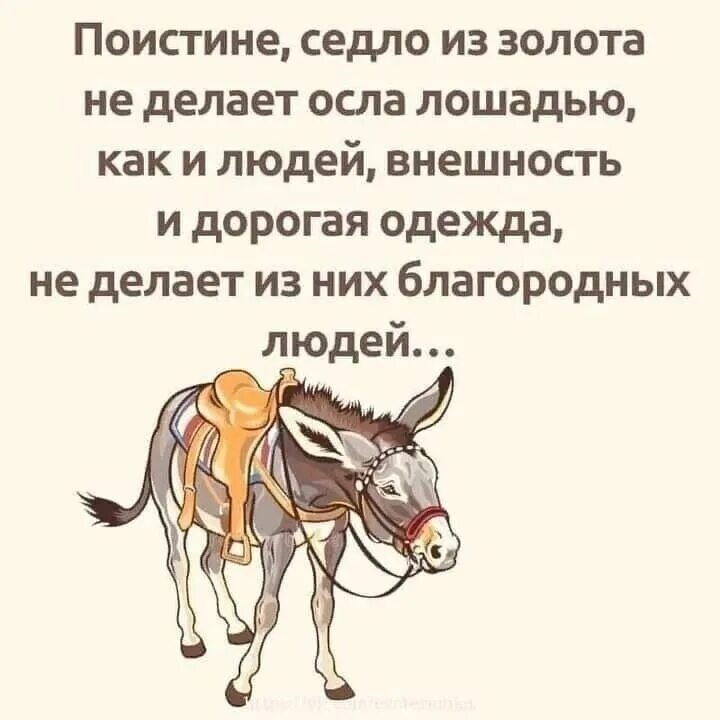 Как стать подлинным человеком. Статус про осла. Золотое седло не делает осла лошадью. Поистине седло из золота не делает осла лошадью как и людей. Поистине седло из золота.