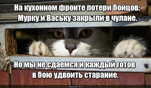 Сделал добро не упрекай. Значение слова попрекать. Русский язык 6 класс упр 584. Мне моя брезгливость дорога мной руководящая давно даже. Попрекать это.
