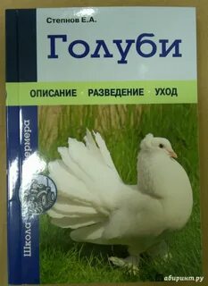 Белый голубь книга