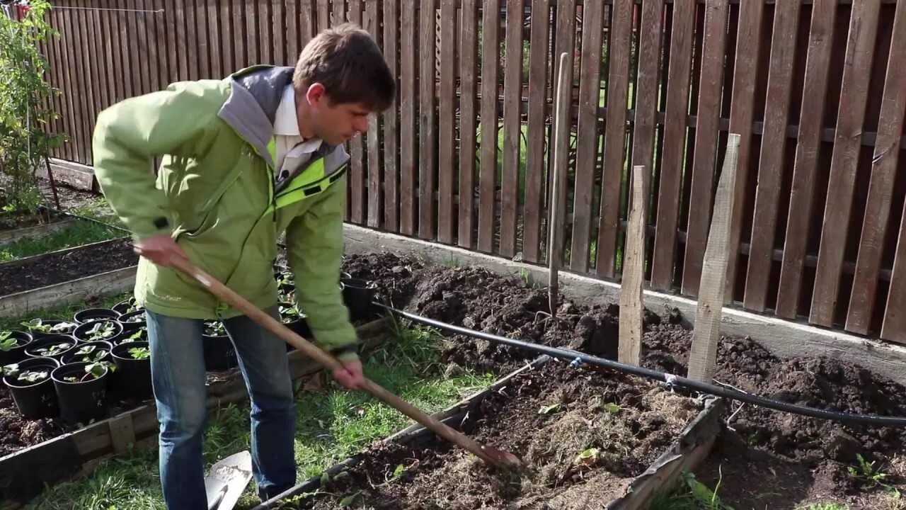Чем обработать дачу после зимы
