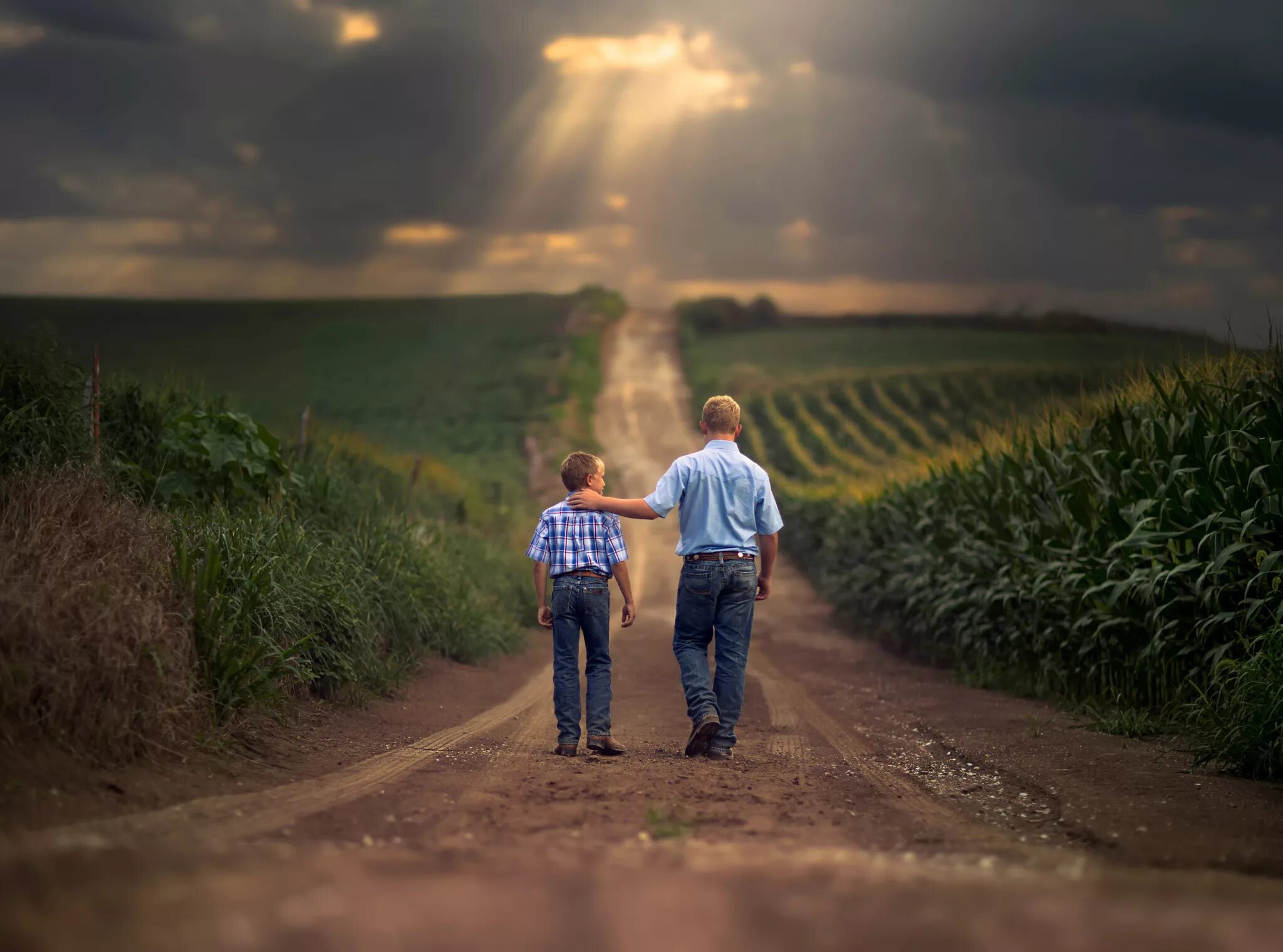 Папа дай руку. Мальчик в поле. Отец и сын идут по дороге. Два мальчика в поле. Семейная фотосессия на дороге.
