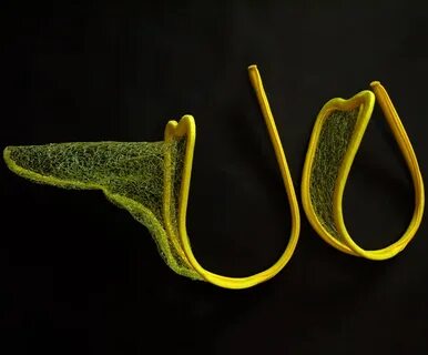 String s2