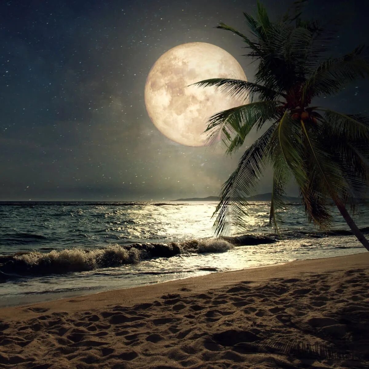 Ночной пляж. Ночное море. Пляж ночью. Ночь в море.