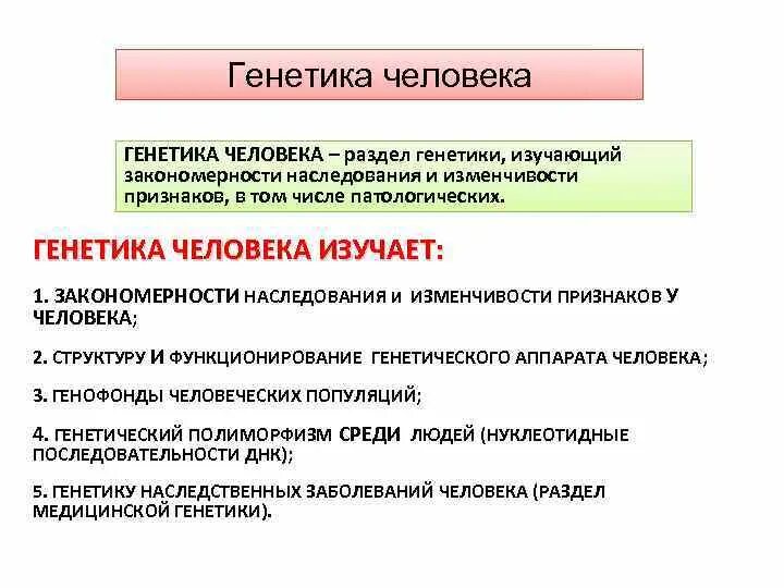 Генетика человека. Разделы генетики. Генетика человека раздел генетики. Схема разделы генетики человека.