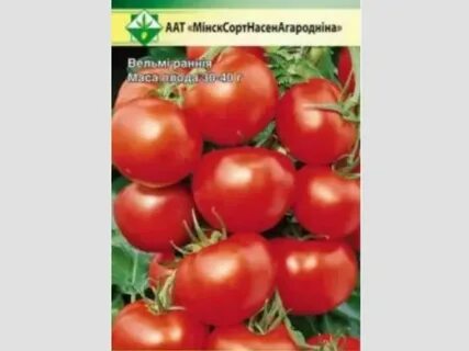 Семена томатов беларусь