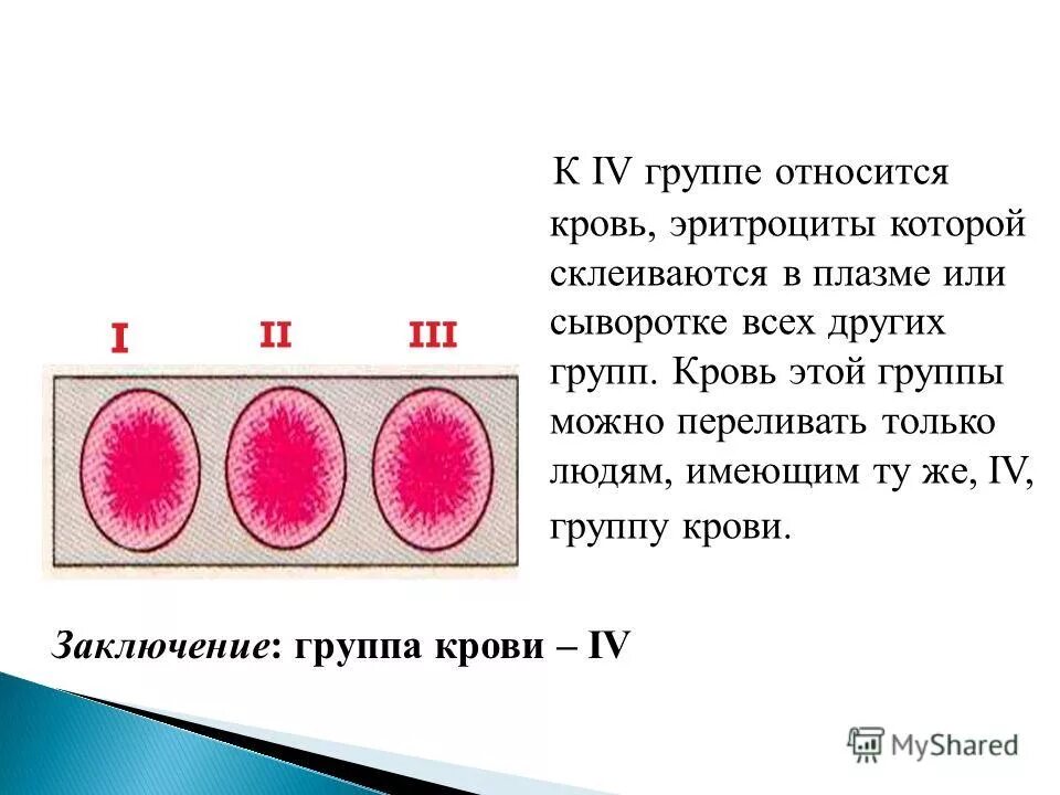 Группа крови клетки. Группы клеток крови. Кровь группы крови. Задачи на группы крови. Группы крови эритроциты плазма.