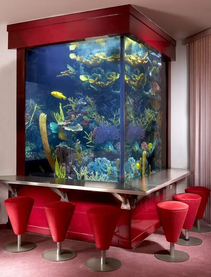 Чихирос с2. Аквариум с рыбками в интерьере. Аквариум biorb life 30 led. Аквариум juwel 450. Склеить аквариум.