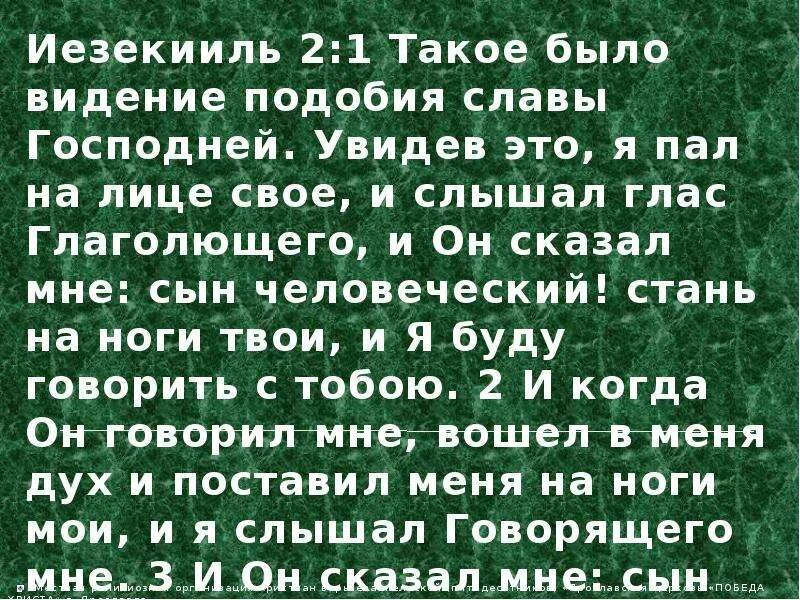 Иезекииль 25 17 стих. Книга пророка иезекииля глава 25 стих 17. Иезекииль глава 25. Иезекииль 25 17 криминальное чтиво. Иезекииль глава 25 стих 17.