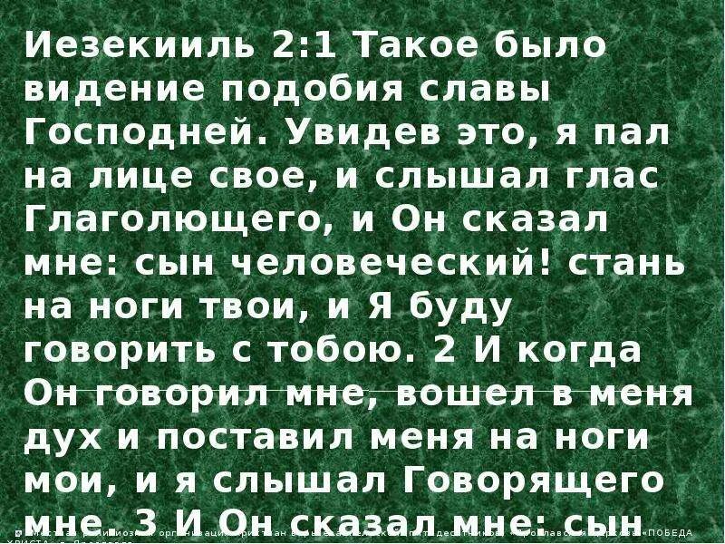 Иезекииль глава 25 17. Иезекииль 25/17 текст из Библии. Иезекииль глава 25 стих 17. Иезекииль 34:27 стих. Иезекииль 29.