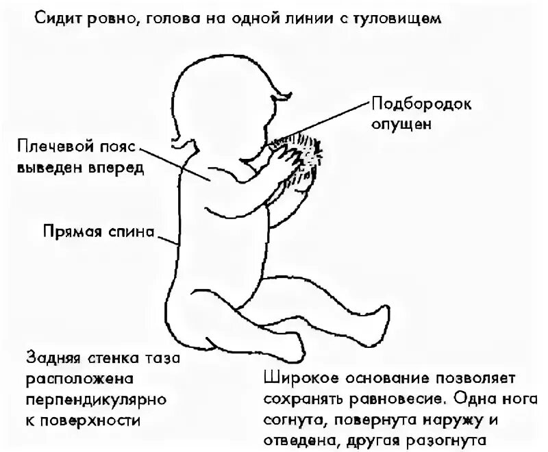 Во сколько малыши сидят. Правильная поза сидящего малыша. Положение грудного ребенка сидящего. Правильное положение сидя у ребенка. Правильное положение сидящего грудничка.
