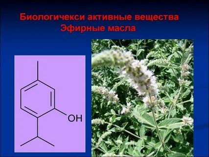 Фармакогнозия это