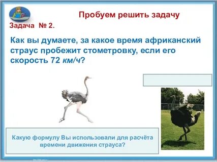 Какое расстояние пробежит