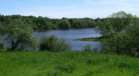 Волховское село