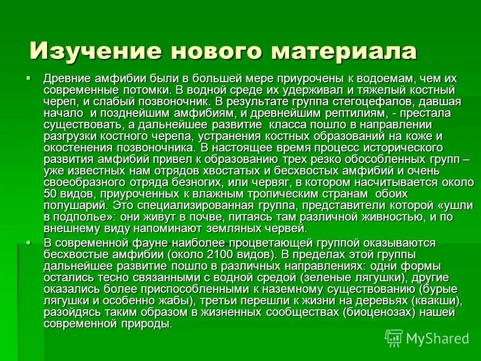 Методы исследования амфибий и рептилий. Многообразие амфибий. Технологии изучения земноводных. Метод изучения амфибий.