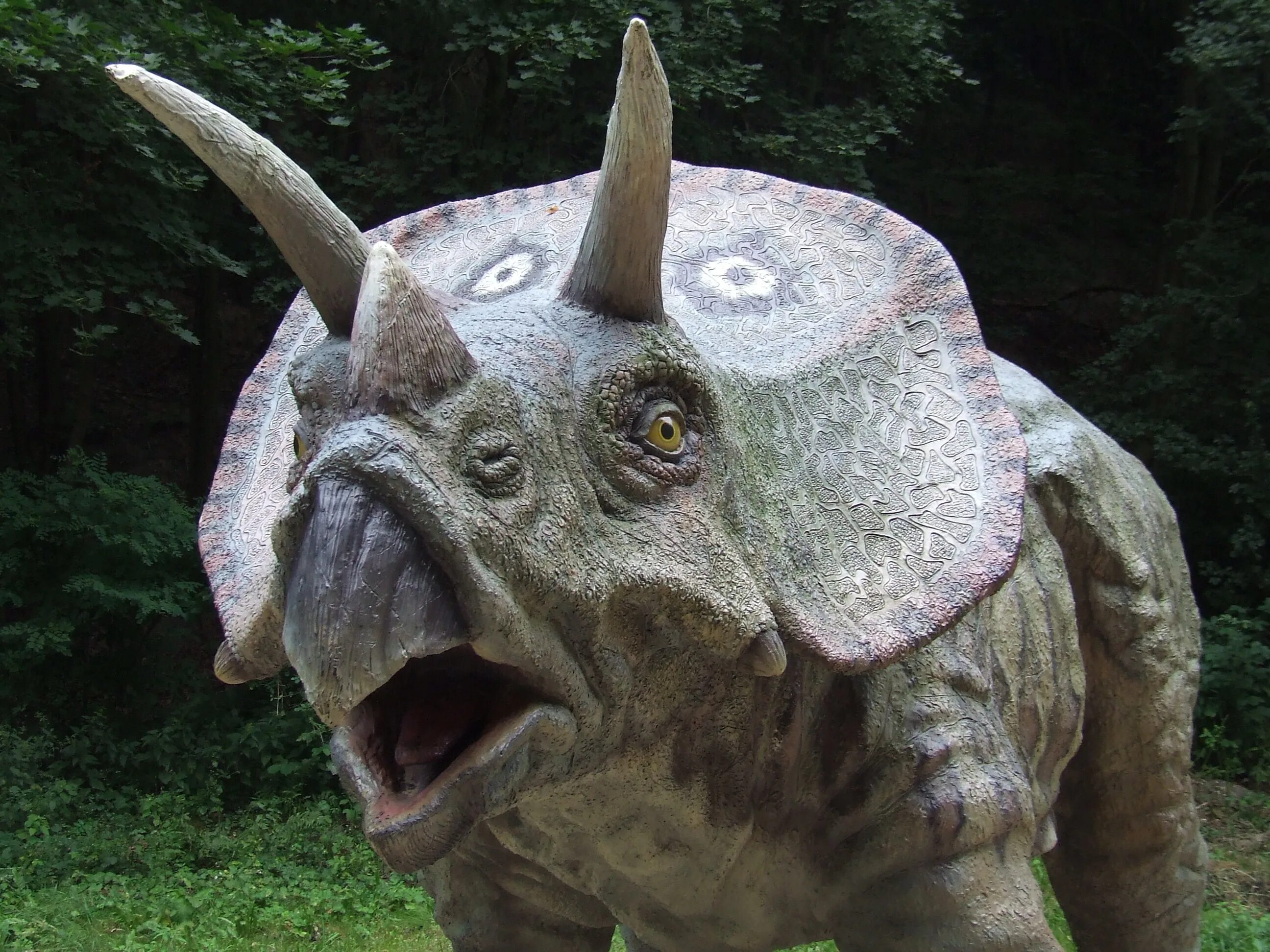 Трицератопс. Рогатый динозавр. Динозавр с рогами. Травоядный динозавр с рогами. Динозавр с рогом на голове