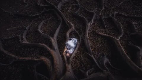 Дерево корнями человек