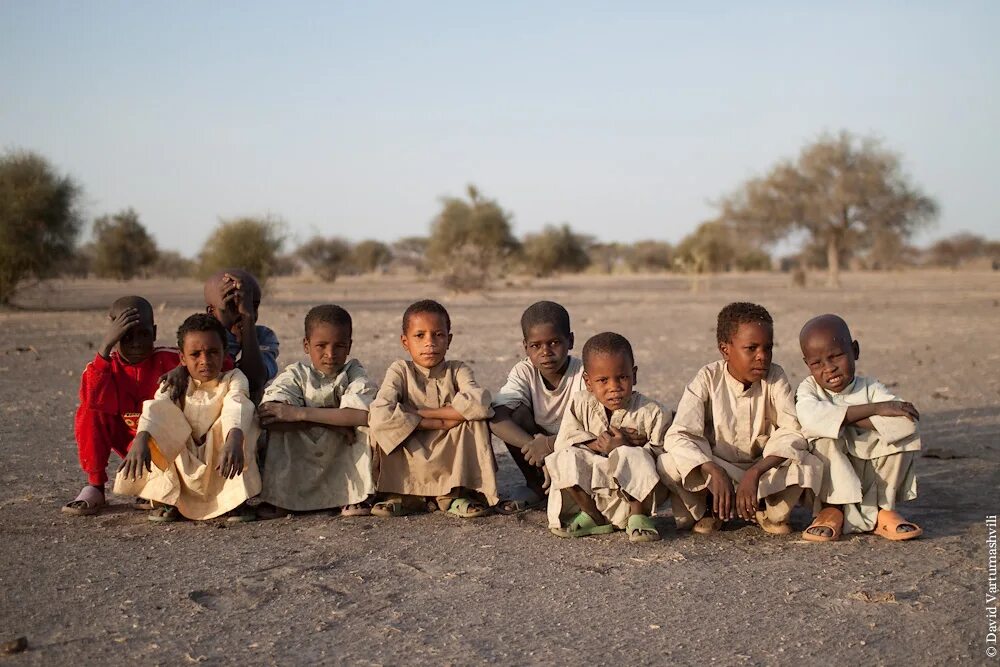 Чад без регистрации. Чад и гигачад. Чад презентация. Чад без регистрации. Африканская пальма.